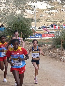 P1010719.JPG