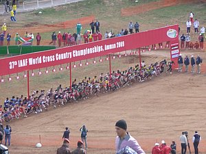 P1010738.JPG