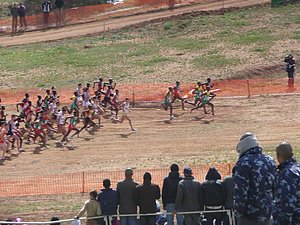 P1010739.JPG