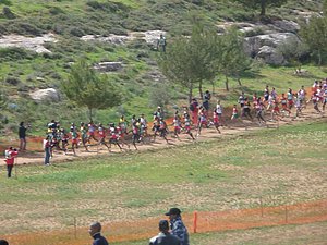 P1010745.JPG