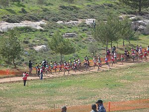 P1010746.JPG