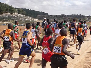 P1010757.JPG