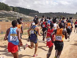 P1010758.JPG