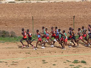 P1010762.JPG