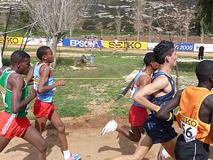 P1010771.JPG