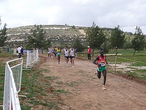P1010778.JPG