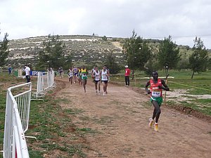 P1010779.JPG