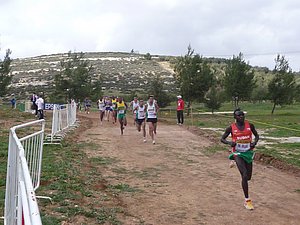 P1010780.JPG