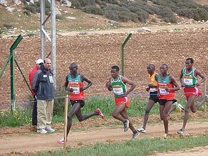 P1010787.JPG