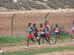 P1010790.JPG