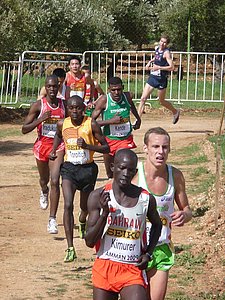 P1010865.JPG