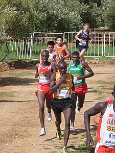 P1010867.JPG