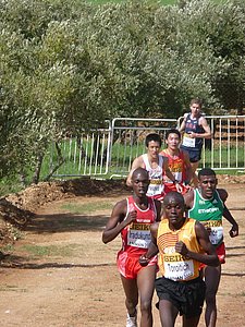 P1010869.JPG