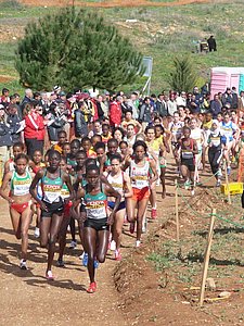 P1010931.JPG