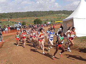 P1010934.JPG