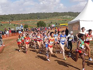 P1010935.JPG
