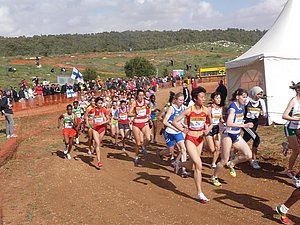 P1010936.JPG
