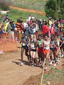 P1010951.JPG