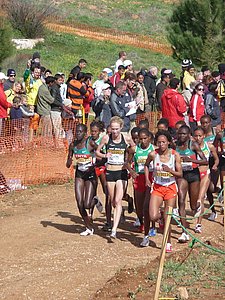 P1010952.JPG