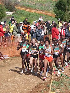 P1010953.JPG