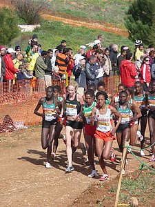P1010954.JPG