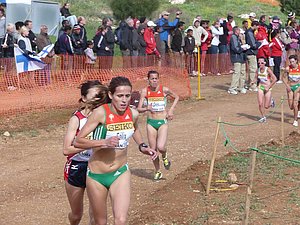 P1010983.JPG