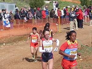 P1020006.JPG