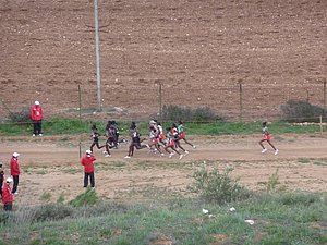 P1020010.JPG