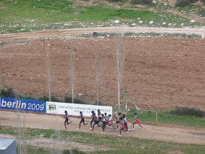 P1020012.JPG