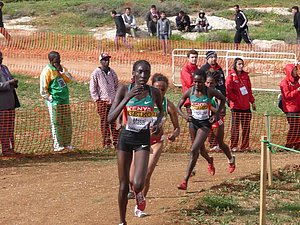 P1020013.JPG