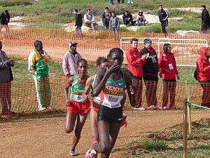 P1020015.JPG