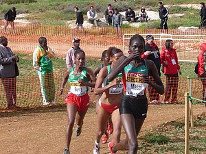 P1020016.JPG