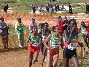 P1020017.JPG