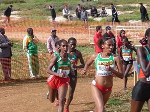 P1020018.JPG