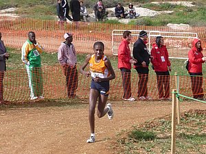 P1020020.JPG