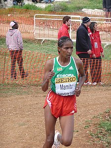 P1020034.JPG