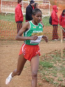 P1020035.JPG