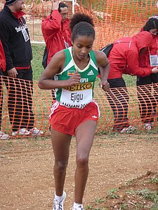 P1020036.JPG