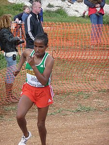 P1020039.JPG