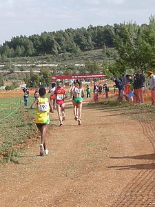 P1020058.JPG