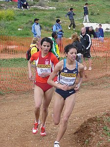 P1020074.JPG