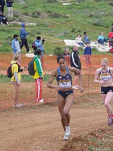 P1020082.JPG