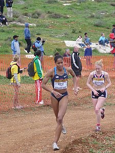 P1020083.JPG