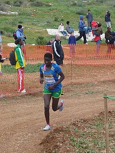 P1020084.JPG