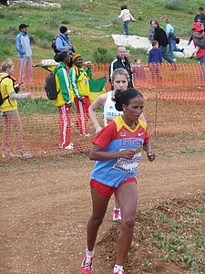 P1020085.JPG