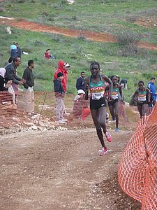 P1020093.JPG