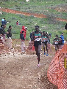 P1020094.JPG