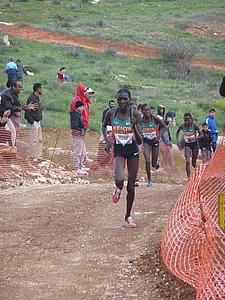 P1020095.JPG