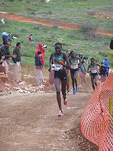 P1020096.JPG