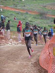 P1020097.JPG